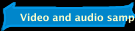 Video and audio samples